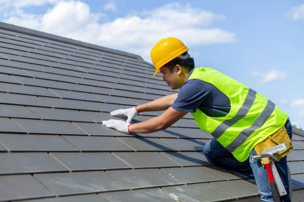 Best Roof Gutter Cleaning  in Ashtabula, OH